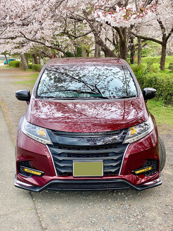 オデッセイの桜コラボ七連続投稿・まだまだ桜コラボは続く・上大島・サクラがいっぱぁ〜い・リフレクションだらけに関するカスタム事例の投稿画像5枚目