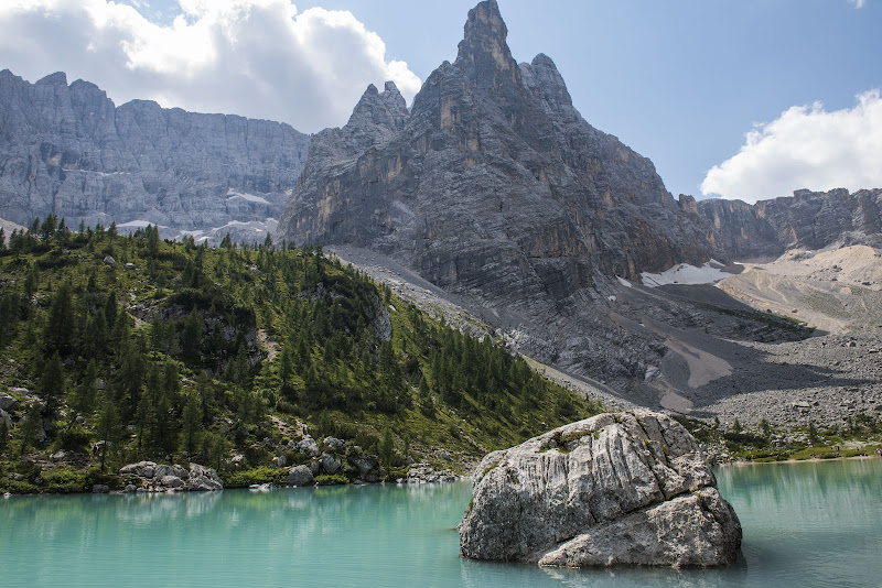 Un verde quasi irreale di marco cerrai