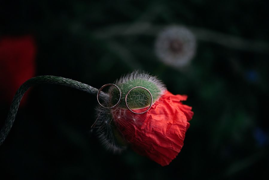 Fotograful de nuntă Aleksey Ozerov (photolik). Fotografia din 4 iulie 2022