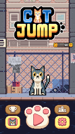 Cat Jump