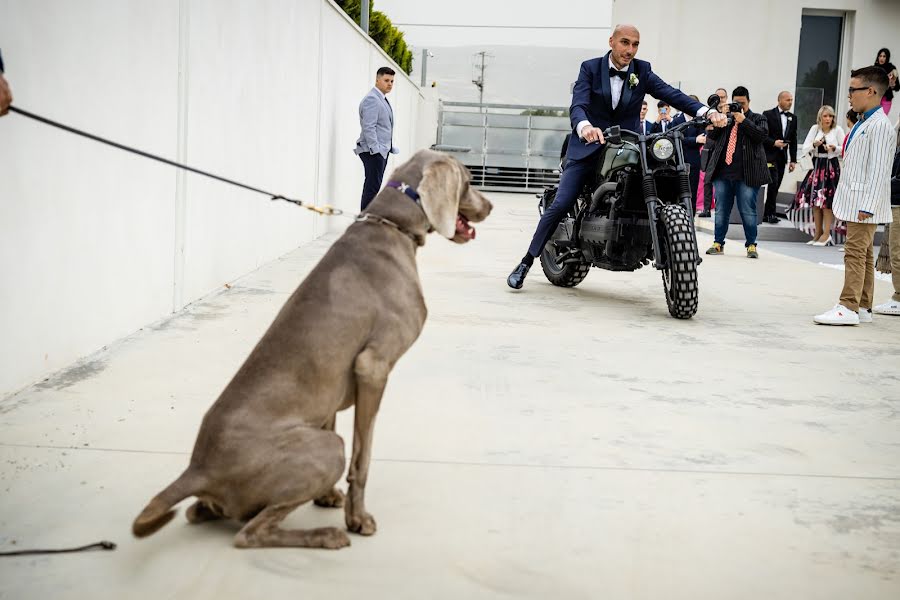 Fotografo di matrimoni Antonella Catalano (catalano). Foto del 18 giugno 2023