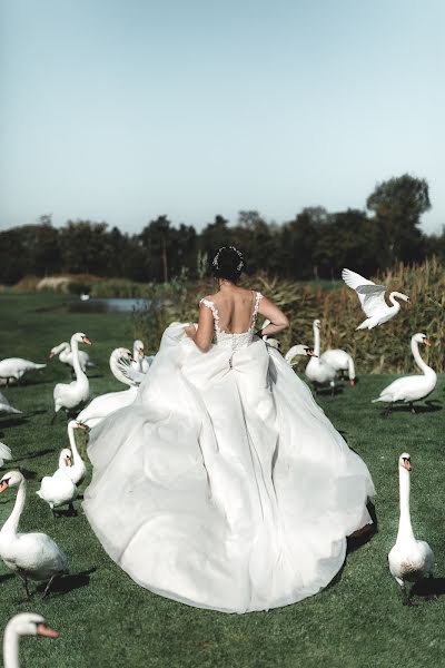 Photographe de mariage Elena Smirnova (olenasmirnova). Photo du 27 septembre 2018