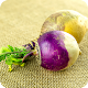 Download beneficios de la rutabaga For PC Windows and Mac 1.0