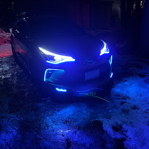 C-HR NGX50
