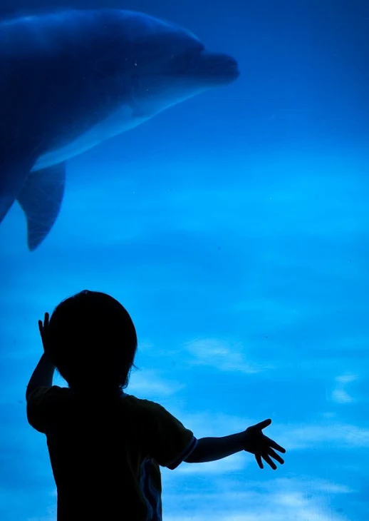 「水族館(後編)」のメインビジュアル