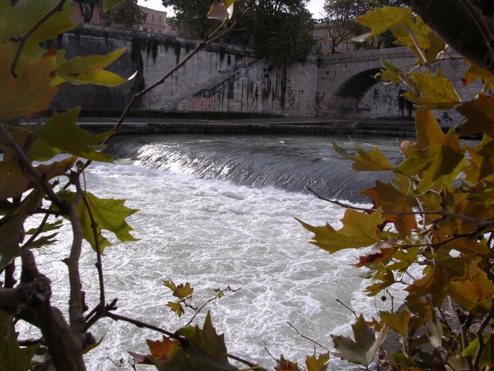 Tiberina Insula. Scorcio della storia di internodieci