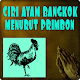Ciri ayam bangkok Menurut Primbon Download on Windows