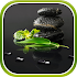 Garden Zen Live Wallpaper1.0.5