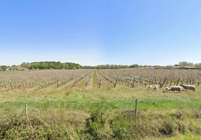 Vente maison neuve 4 pièces 180 m² à Cissac-Médoc (33250), 660 000 €