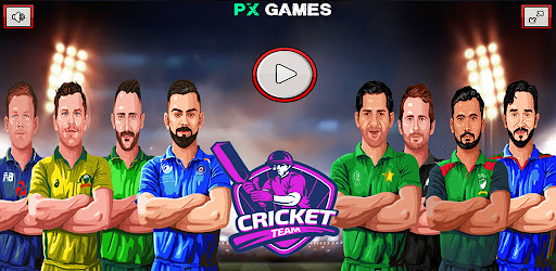 Screenshot World cricket championship 2