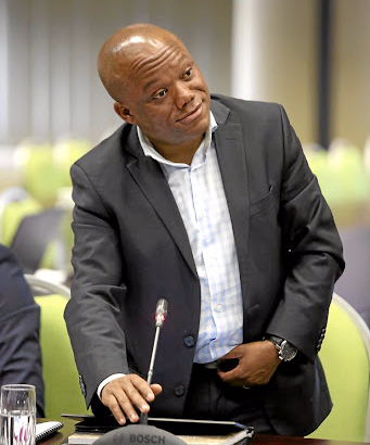 IT ISN'T ONLY US ANC chairman Sihle Zikalala at the Moerane Commission Picture: Thuli Dlamini