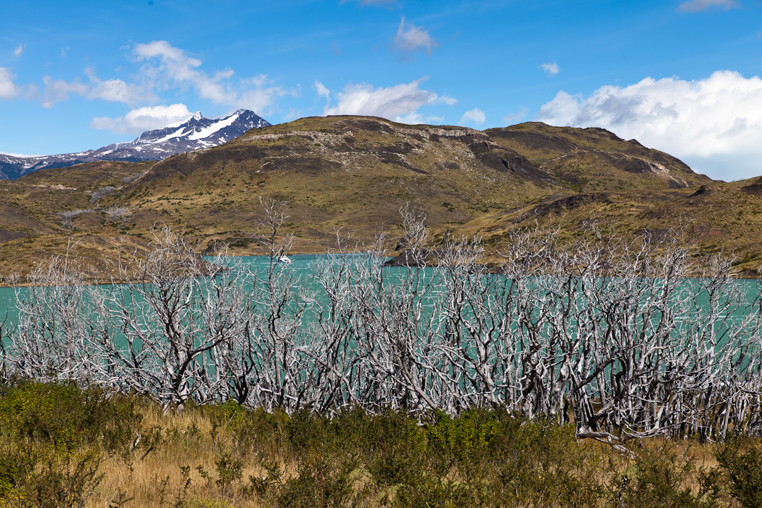 Патагония: Carretera Austral - Фицрой - Торрес-дель-Пайне. Треккинг, фото.