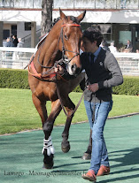 Grande Course de haies d'Auteuil 2015 (H., Gr.I, Auteuil) 7-06 : Un temps pour tout BZmybSIE9MV3q98mi3BhhZ85Jt1oN7_L5Y5LaSPn76Sn=w157-h207-p-no