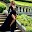 Vestidos de Gala Download on Windows