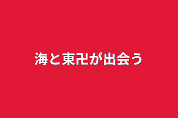 海と東卍が出会う