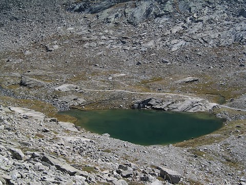 Viaje por los Alpes - Blogs de Suiza - Glaciar del Aletsch - Patrimonio de la UNESCO (14)