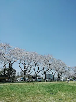 元ヤンと神7最終回