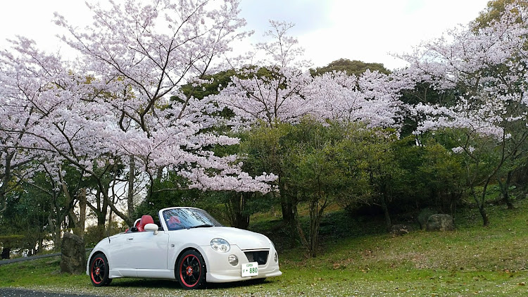 コペンの朝活・さくら🌸・絵になるクルマ・中尾山に関するカスタム事例の投稿画像4枚目