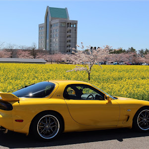 RX-7 FD3S 後期