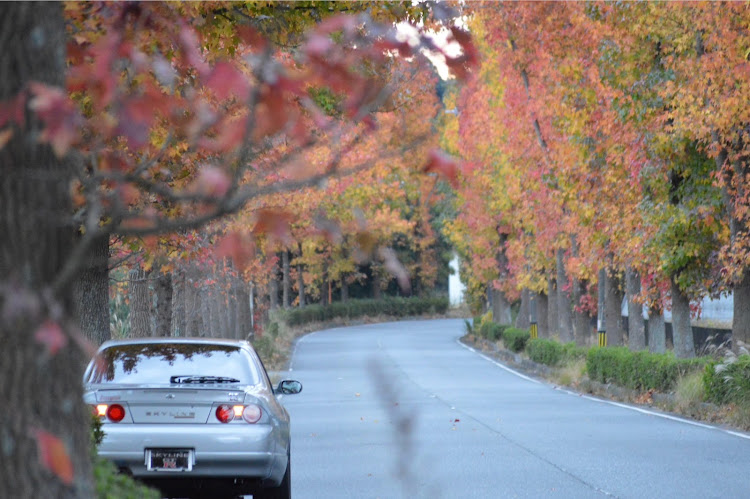 スカイライン GT-Rの早朝ドライブ・ぼっちドライブ・紅葉の季節・朝活・モミジバフウ並木に関するカスタム事例の投稿画像2枚目