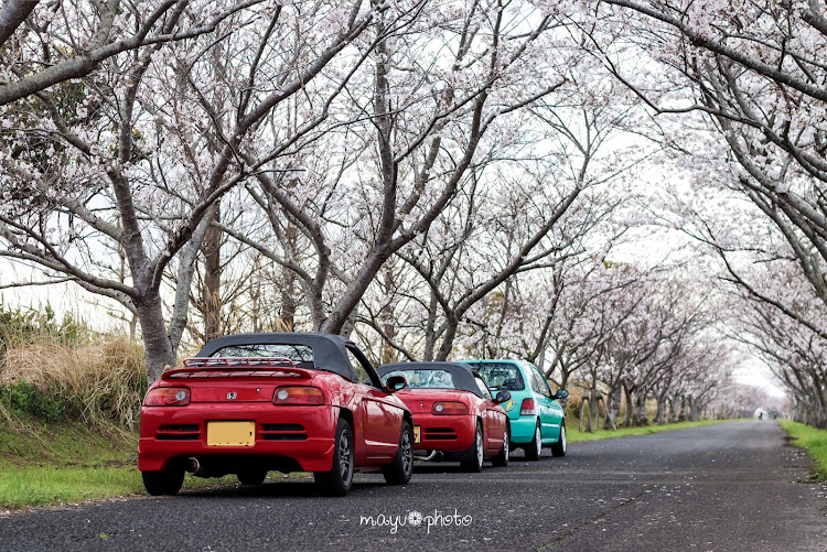 マユさんが投稿したビート PP1・佐賀空港・桜とコラボに関するカスタム事例の投稿画像1枚目