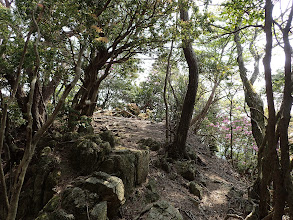 こちらは山頂ではない？（ピークは広場になっているが）