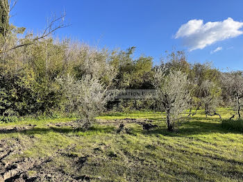 terrain à batir à Saint-Rémy-de-Provence (13)