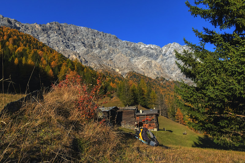 Semplicemente.... autunno di ringhio