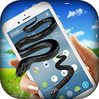 Snake On Screen - Hissing Snake in Phone Joke