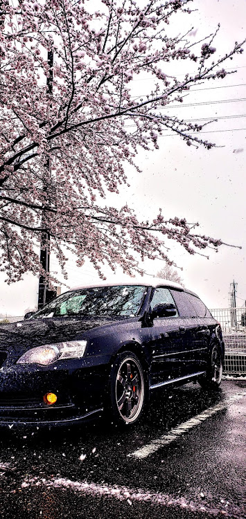レガシィツーリングワゴンの桜と愛車・雪・レガシィツーリングワゴンに関するカスタム事例の投稿画像2枚目