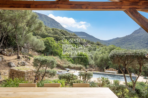 Villa with pool and garden 3