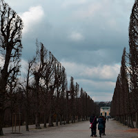 A passeggio! di 