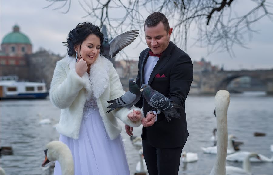 Bröllopsfotograf Elena Vazhenina (weddingprague). Foto av 22 januari 2019