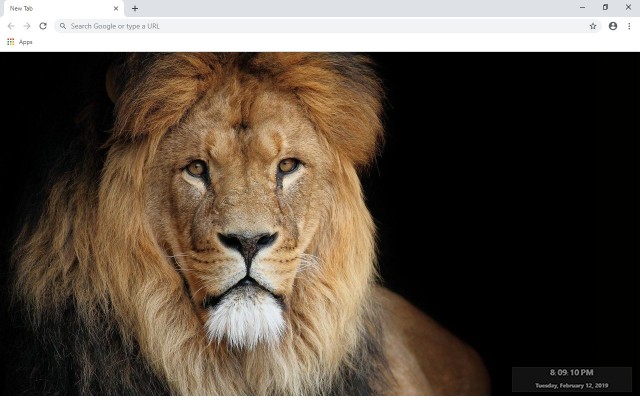 Lion New Tab & Wallpapers Collection