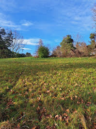 terrain à Moissac (82)