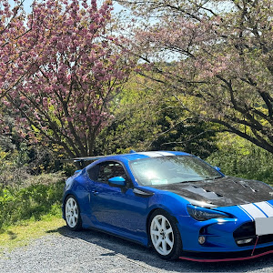 BRZ ZC6