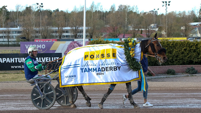 Ava di Alessia loimitettiin TammaDerbyn yllätysvoittajana (kuva: Roope Kiviranta).