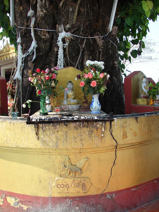 hpa an