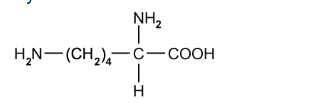 Amino acids