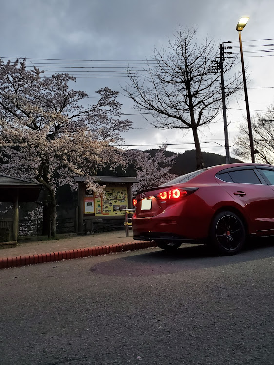 アクセラのマツダ・#アクセラ・桜と愛車・久万高原町・#アクセラセダンに関するカスタム事例の投稿画像2枚目
