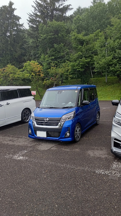 セレナのオフ会・東神楽森林公園に関するカスタム事例の投稿画像6枚目