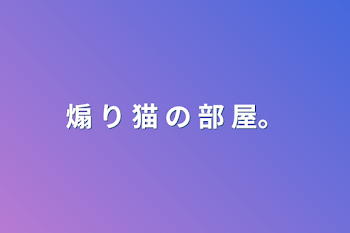 煽 り 猫 の 部 屋。