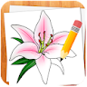 How to Draw Flowers icon