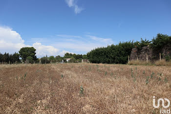 terrain à Cuxac-d'Aude (11)