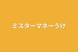 ミスターマネー受け