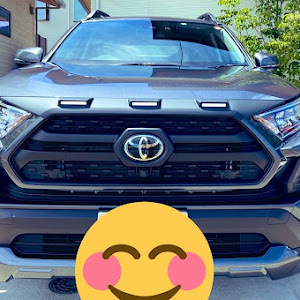 RAV4 MXAA54