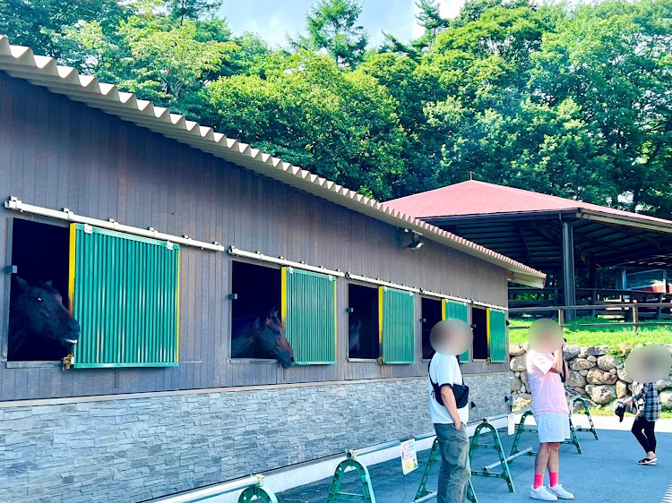 ロードスターRFの松ちゃんさん主催オープンカーツーリング・ビーナスライン・カントリーキッチンロビン・富士山に関するカスタム事例の投稿画像29枚目
