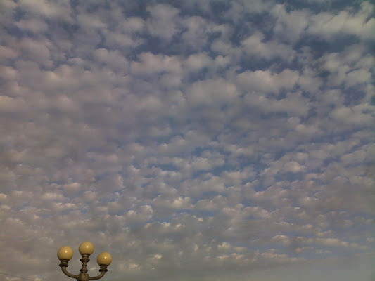 Il cielo sopra Principe di anser