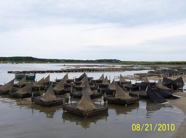 Scalloped Oysters_image