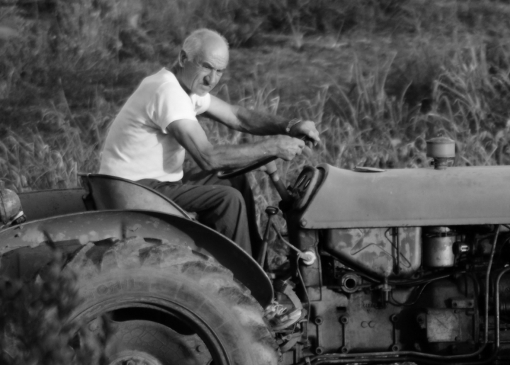 L'Uomo,il lavoro,il sacrificio di bolgi16